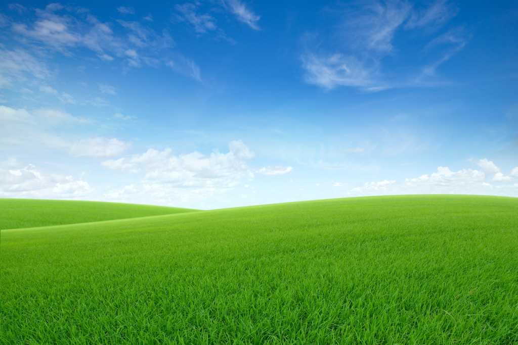 Landscape view of rolling pasture green grass on slope with blue sky and clouds in background.