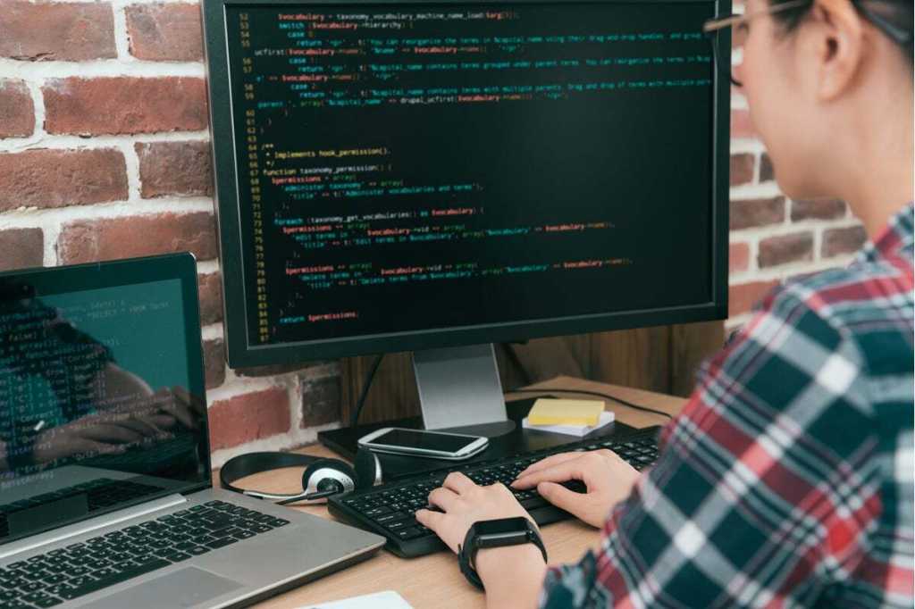 Japan Asia woman female software developer programmer code